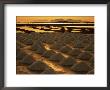 Sun Setting Over Mounds Of Salt Drying On Saltpans, Mothia, San Pantaleo, Sicily, Italy by Dallas Stribley Limited Edition Print