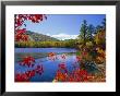 Fall Colours, Moose Pond, With Mount Pleasant In The Background, Maine, New England, Usa by Roy Rainford Limited Edition Print