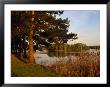 Trees And Lake Outside Aukstadvaris, Trakai, Lithuania by Jonathan Smith Limited Edition Print