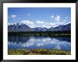 Denali, Alaska by Timothy O'keefe Limited Edition Print