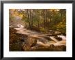 Flowing Streams Along The Appalachian Trail, East Arlington, Vermont, Usa by Joe Restuccia Iii Limited Edition Print