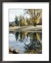 Autumn Leaves Growing Along A Gravel Riverbank Add Color To The Sacramento River by Joseph Baylor Roberts Limited Edition Print