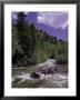 People Rafting In Blue River North Of Silverthorne, Co by Bob Winsett Limited Edition Print