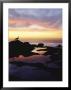 Seagull At Sunset Cliffs Tidepools On The Pacific Ocean, San Diego, California, Usa by Christopher Talbot Frank Limited Edition Print