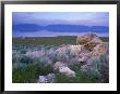 Great Salt Lake And The Wasatch Range, From Antelope Island State Park, Utah, Usa by Jerry & Marcy Monkman Limited Edition Print