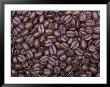 Coffee Beans, Washington, Usa by Jamie & Judy Wild Limited Edition Print