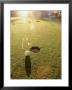 Golf Ball By Hole by Paul Frankian Limited Edition Print