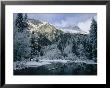 A Winter View Of The Merced River by Marc Moritsch Limited Edition Print