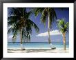 View Of Couple Walking On Beach, Cayman Islands by Anne Flinn Powell Limited Edition Print