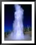 Water Spouting From Grand Geyser, Yellowstone National Park, Usa by Carol Polich Limited Edition Print