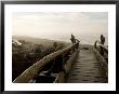 Driftwood Bridge Entrance From Trail, Kalaloch Beach, Olympic National Park, Washington, Usa by Trish Drury Limited Edition Print