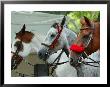 Horses Paraded Before The Race, Saratoga Springs, New York, Usa by Lisa S. Engelbrecht Limited Edition Print