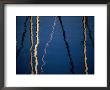 Reflection Of Sailboat Masts In Lake Maggiore, Locarno, Switzerland by Martin Moos Limited Edition Print