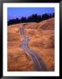 Winding Road At Mount Tamalpais, California, Usa by Thomas Winz Limited Edition Print
