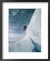 A Skier Leaps A Large Crevasse In Calley Glacier by Gordon Wiltsie Limited Edition Print