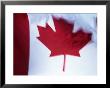 Canadian Flag by Peter Adams Limited Edition Print