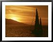 Sailboat At Sunset by William Swartz Limited Edition Print
