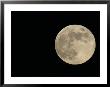 Full Moon by Arthur Morris Limited Edition Print