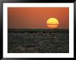 Sunset On The Water At Key West by Bill Curtsinger Limited Edition Pricing Art Print