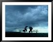 Tourists Sit On Picnic Tables While Waiting Out A Storm by Raymond Gehman Limited Edition Pricing Art Print