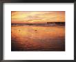 Pismo Beach And Pier At Sunset by Michael S. Lewis Limited Edition Pricing Art Print