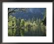 Spring View Of The Merced River by Marc Moritsch Limited Edition Print