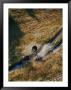 Bikers On Dirt Road, Pocahantas County, West Virginia by Skip Brown Limited Edition Print