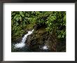 Two Small Waterfalls Flow Into Fresh Water Pond In A Rain Forest by Todd Gipstein Limited Edition Print
