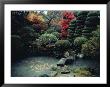 View Of A Private Garden In Hagi by Sam Abell Limited Edition Pricing Art Print