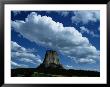 View Of Devils Tower by Randy Olson Limited Edition Pricing Art Print