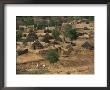 El Geneina, Darfur, Western Sudan, Sudan, Africa by Liba Taylor Limited Edition Print