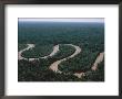 An Aerial Of The Rio Los Amigos Snaking Through A Rain Forest Reserve by Maria Stenzel Limited Edition Print