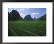 Yangdi Valley Farm Fields, Guilin, Guangxi, China by Raymond Gehman Limited Edition Print