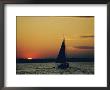 Skipjack Silhouetted At Sunset by Emory Kristof Limited Edition Print