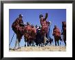 Masai Warriors Performing Jumping Dance, Serengeti Park, Tanzania, East Africa, Africa by D H Webster Limited Edition Print