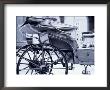 Detail Of Horse Drawn Carriage, Austria by Walter Bibikow Limited Edition Print