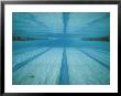 A Below-The-Surface View Of A Swimming Pool by Bill Curtsinger Limited Edition Print