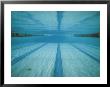 A Below-The-Surface View Of A Swimming Pool by Bill Curtsinger Limited Edition Pricing Art Print