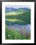 Summit Lake, Sunbeam On Forest, Firewee, Chugach National Forest, Alaska by Rich Reid Limited Edition Print