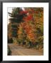 Fall Colors Line A New England Road by Heather Perry Limited Edition Pricing Art Print