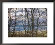 New England Massachusetts Beach Scene In Cape Cod, United States by Keenpress Limited Edition Print