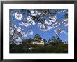 Spring Blossom And Himeji Castle, Built In 1580, Himeji, West Honshu, Japan by Robert Francis Limited Edition Print