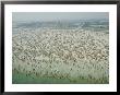 Crowds Of People At Jones Beach by Robert Sisson Limited Edition Print