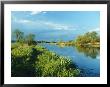 Marshlands In Spring, Unteres Odertal National Park, Germany by Norbert Rosing Limited Edition Print