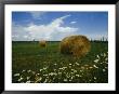 Hay Farm In Michigans Upper Peninsula by Phil Schermeister Limited Edition Print