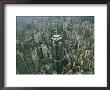 Aerial View Of Hong Kongs Skyline Seen From A Helicopter by Eightfish Limited Edition Print