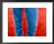 Vibrant Blue Jeans Against A Red Background by Raymond Gehman Limited Edition Pricing Art Print