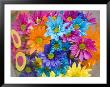 Colorful Bouquet Of Flowers, Lincoln, Nebraska by Joel Sartore Limited Edition Print