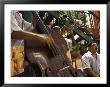 Counterbass With Trumpet Player, Part Of Traditional Band Playing In A Cafe, Habana Vieja, Cuba by Eitan Simanor Limited Edition Print