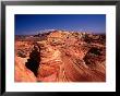 Sandstone Erosion Of The Colorado National Monument, Colorado National Monument, Usa by Mark Newman Limited Edition Print